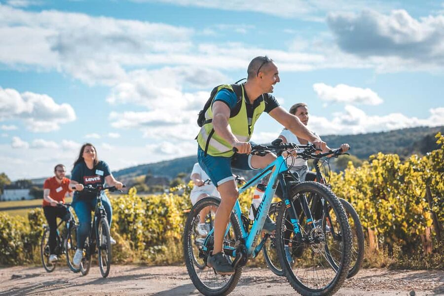 Dijon: Bike tour and Tastings in the Vineyards of Burgundy - Following the Côte de Nuits by bike