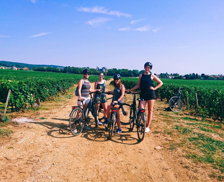 Dijon: Bike tour and Tastings in the Vineyards of Burgundy - Fixin and Brochon, old stones between the vines