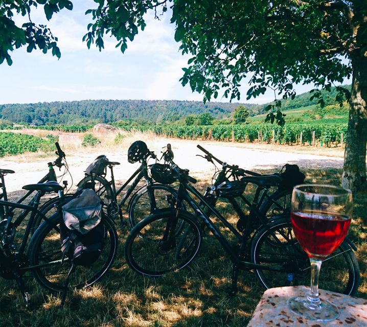 Dijon: Bike tour and Tastings in the Vineyards of Burgundy - Marsannay-la-Côte and the first taste of village Burgundy