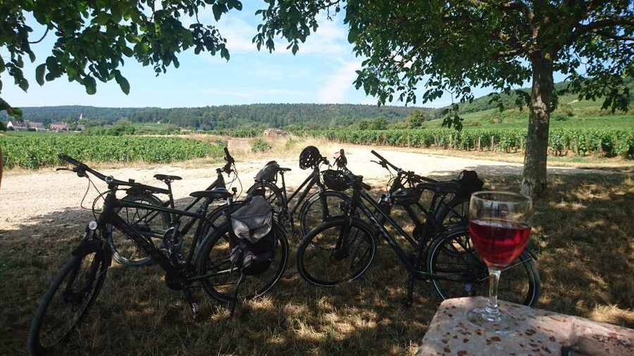 Dijon: Half-Day Guided Gourmet Bike Tour - Fixin and Brochon at an easy pace