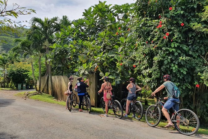 'Discover' Rarotonga Cycling Tour with Lunch - At a glance