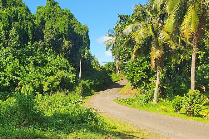 'Discover' Rarotonga Cycling Tour with Lunch - Local fruit, coconut, and the value of stopping