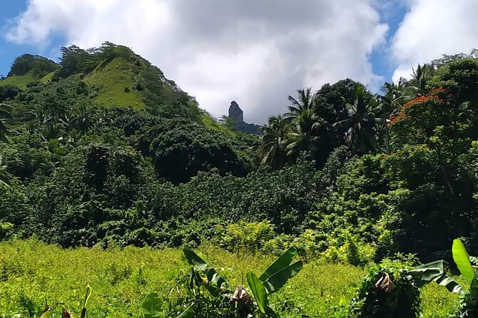 'Discover' Rarotonga Cycling Tour with Lunch - Lunch at the end, with Rutaki Beach nearby