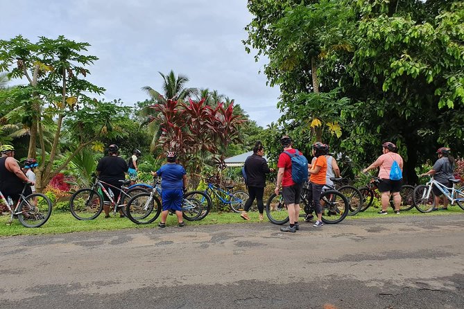'Discover' Rarotonga Cycling Tour with Lunch - Who should book this experience