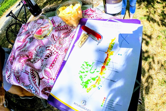 Discovery by bike & Tasting in the vineyards - Why this bike tour works better than a quick vineyard stop