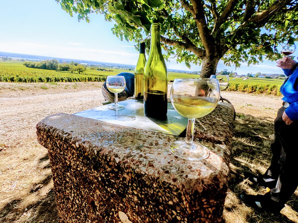 Discovery by bike & Tasting in the vineyards - Breaks for white wine, cassis, and local food