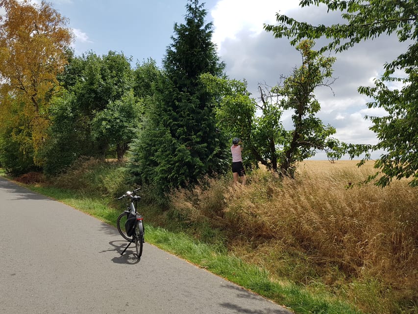 Dresden: E-Bike Tour and Dresden Heath Forest Trails - Should you book it?