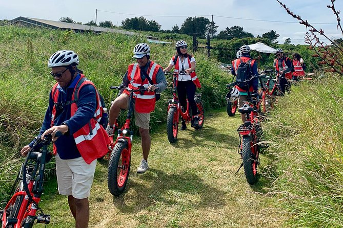 Dublin Panoramic e-Bike Tour with Howth Adventures - Howth Summit, Baily Green, and the cliff paths