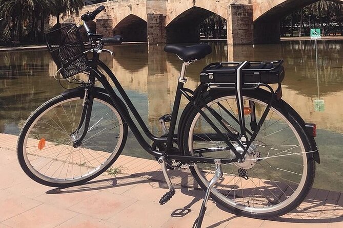 E-Bike Grand Valencia Private Tour - A quieter finish in Vivers Gardens