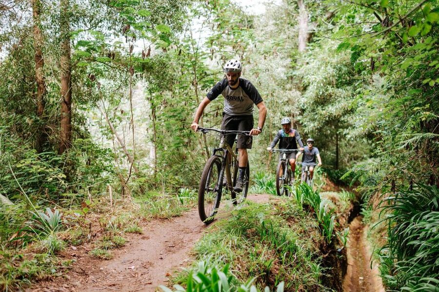 E-Bike Guided Tour - Mountain biking experience - Five things to know before you book