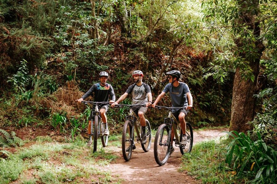 E-Bike Guided Tour - Mountain biking experience - Riding Madeira from Camacha to the levadas