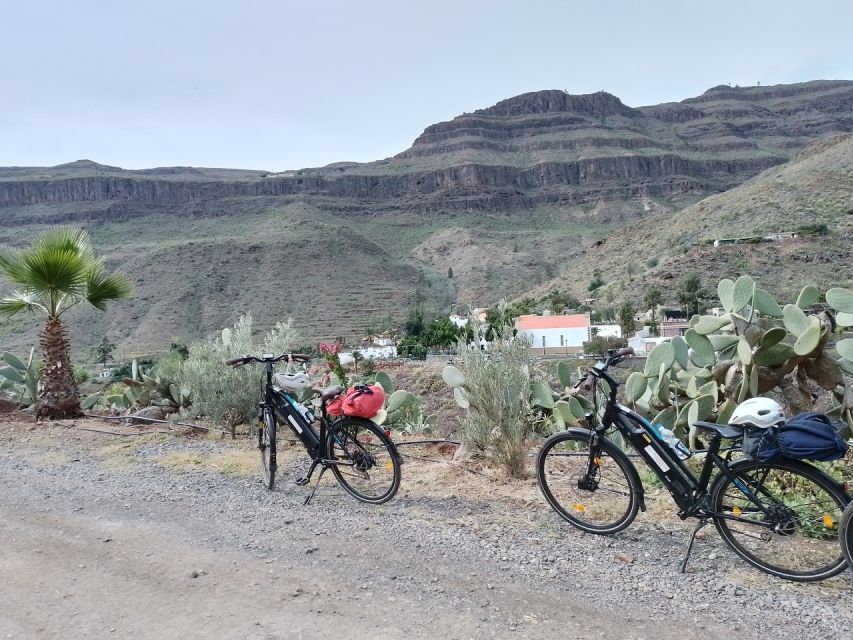 E-Bike Mountain Tour in Natural Park +Option Tapas in a Cave - Quick takeaways
