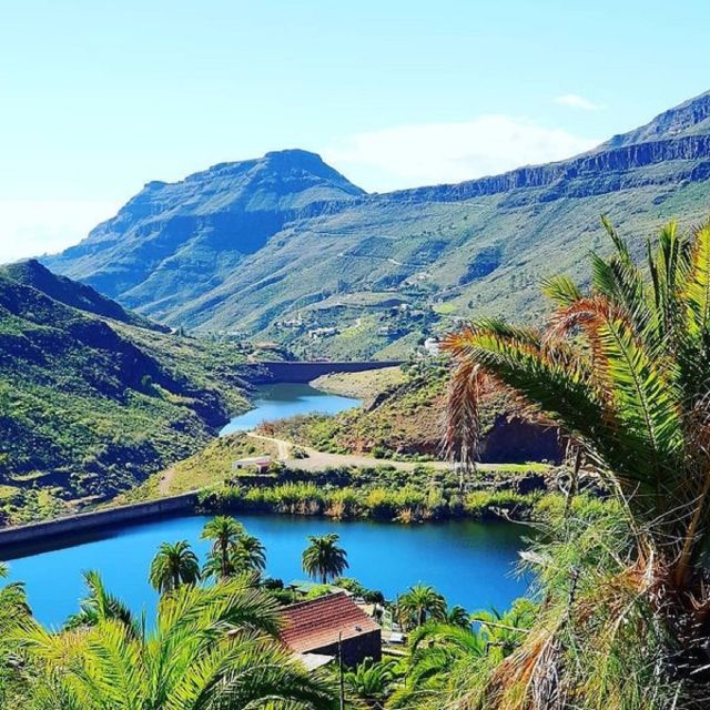 E-Bike Mountain Tour in Natural Park +Option Tapas in a Cave - The downhill return to Maspalomas