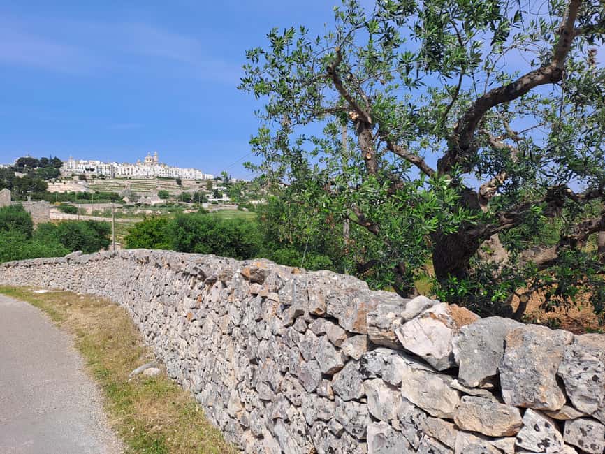 e-Bike ring tour between Martina Franca and Locorotondo - The gelato stop and the optional dairy visit