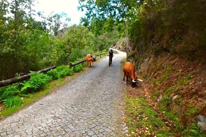 E-Bike Tour - The Ermelo monastery, a short historic pause