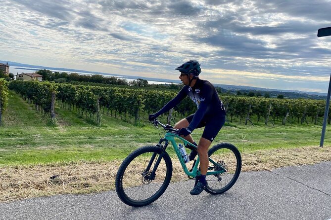 E-Bike tour and Wine tasting from Desenzano Inland - Key points of the Desenzano e-bike and wine tour