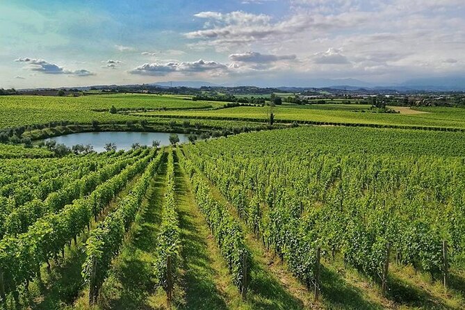 E-Bike tour and Wine tasting from Desenzano Inland - Starting at Famiglia Olivini near Desenzano