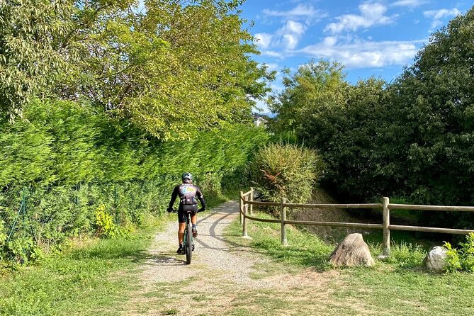 E-Bike tour and Wine tasting from Desenzano Inland - Torre di San Martino and the Risorgimento connection