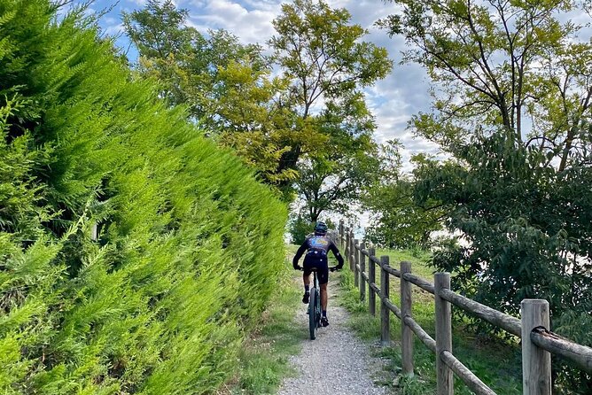 E-Bike tour and Wine tasting from Desenzano Inland - What the $102.41 price really buys you
