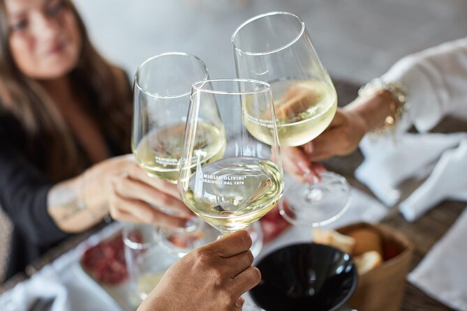 E-Bike tour and Wine tasting from Desenzano Inland - Timing, group size, and practical planning