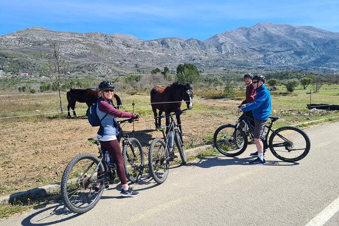 E-Bike Tour + Gourmet Snack + Wine Tasting (Small Group) - Pridvorje brings a quiet historic pause