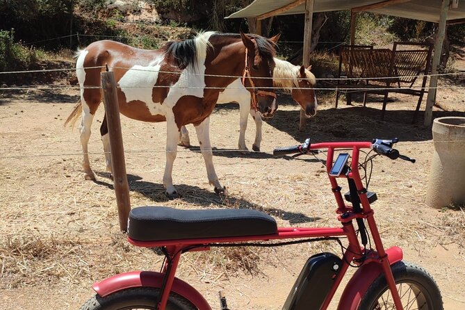 E-Bike Tour in Albufeira - Praia da Coelhinha and the value of an off-road route