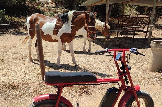 E-Bike Tour in Albufeira - Galé’s beach walkway and the turn toward the countryside