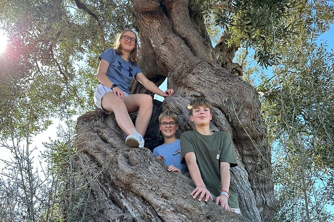 E-bike tour in Ostuni. Oil mill, Dolmen and huge olive trees - Why this ride is a smart way to see rural Puglia
