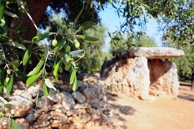 E-bike tour in Ostuni. Oil mill, Dolmen and huge olive trees - Best time of day and weather concerns