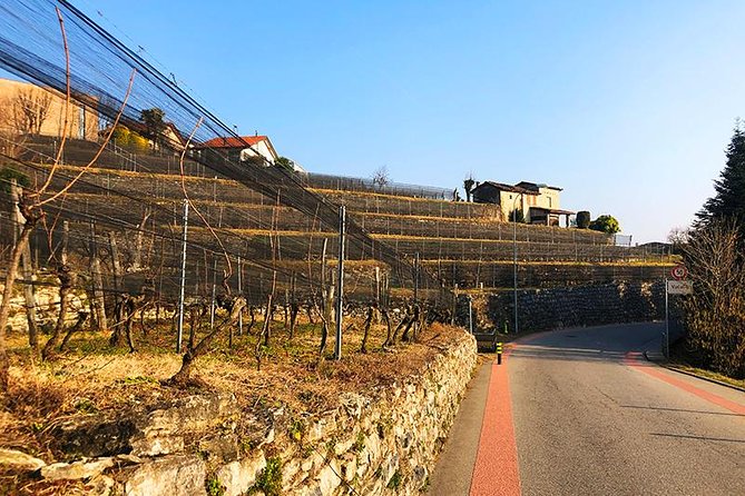 E-Bike Tour Lake Como and Swiss Vineyards - The return along Como’s waterfront