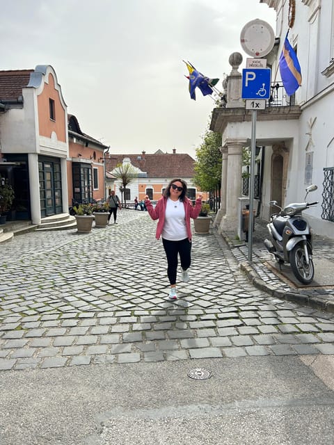 E-Bike Tour to Szentedre - The return ride and Chain Bridge option