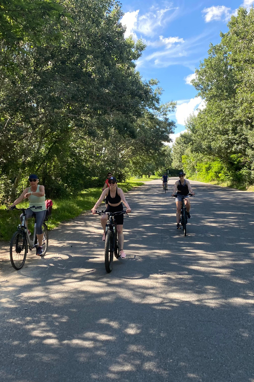E-Bike Tour to Szentedre - What the electric bikes are like to use