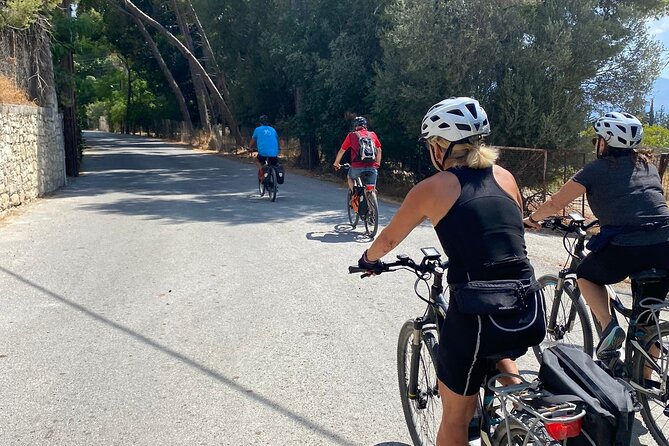 E-Bike Tour with Wine Tasting in Dafnes, Heraklion - At a glance: the details that matter