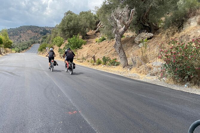 E-Bike Tour with Wine Tasting in Dafnes, Heraklion - Dafnes, Crete’s wine country