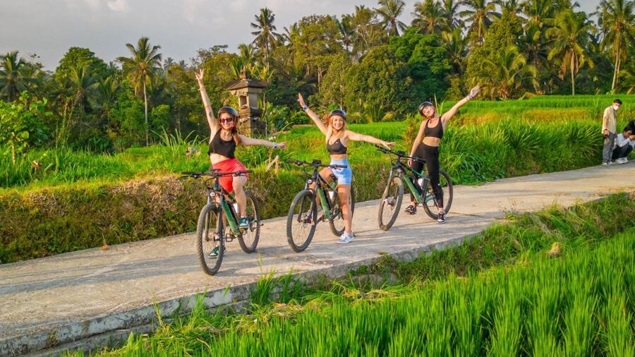 E-Bike: Ubud Rice Terraces & Traditional Villages Cycling - Why this ride shows a quieter side of Ubud