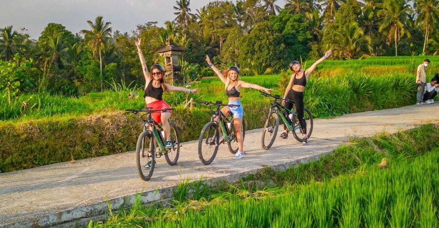 E-Bike: Ubud Rice Terraces & Traditional Villages Cycling - Tegallalang rice terraces, seen from the route itself