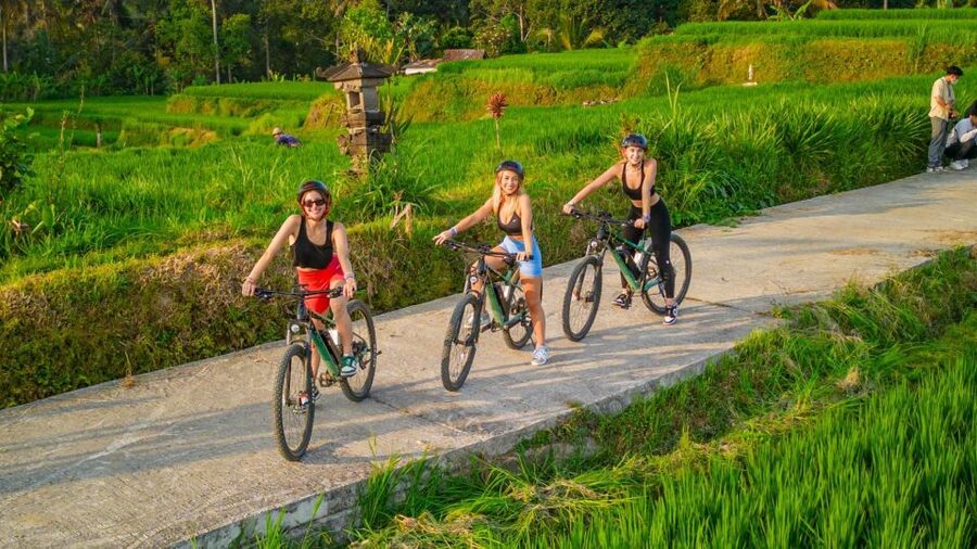 E-Bike: Ubud Rice Terraces & Traditional Villages Cycling - Village visits and a glimpse inside Balinese family life