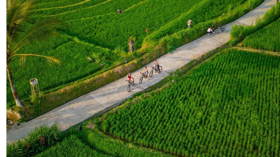 E-Bike: Ubud Rice Terraces & Traditional Villages Cycling - The e-bike advantage, and what it does not change