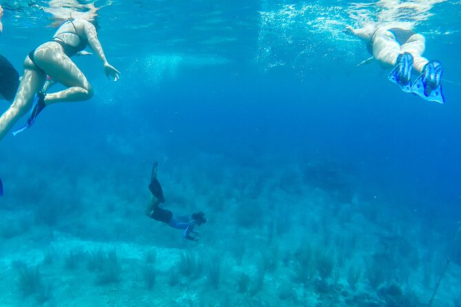E-bike West Coast Snorkeling Tour - Guide quality can shape the whole day