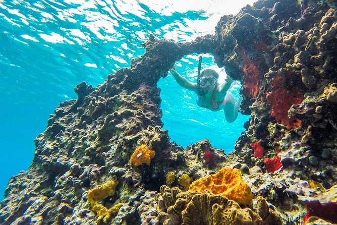 E-bike West Coast Snorkeling Tour - The Mayan garden adds local context