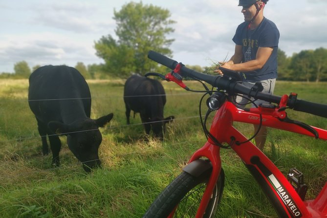 E-biking Central Forgotten Giants' s Adventure - Why these Forgotten Giants make a good Copenhagen side trip