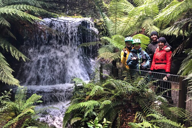 Easy Bike Tour - Mt Wellington Summit Descent & Rainforest Ride - Key points at a glance