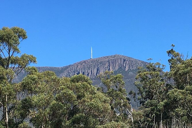Easy Bike Tour - Mt Wellington Summit Descent & Rainforest Ride - Why this Hobart bike tour works so well