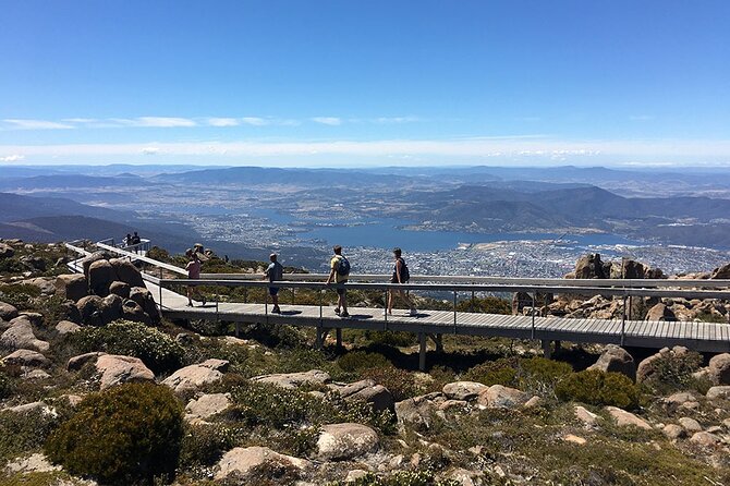 Easy Bike Tour - Mt Wellington Summit Descent & Rainforest Ride - The 6-kilometre summit road descent