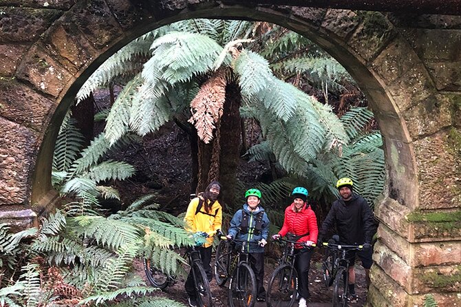 Easy Bike Tour - Mt Wellington Summit Descent & Rainforest Ride - A coffee stop at Lost Freight Cafe