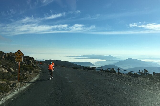 Easy Bike Tour - Mt Wellington Summit Descent & Rainforest Ride - The 11-kilometre rainforest trail