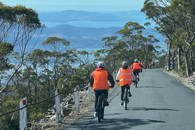 Easy Bike Tour - Mt Wellington Summit Descent & Rainforest Ride - What the $121.21 price includes