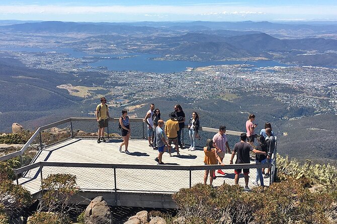 Easy Bike Tour - Mt Wellington Summit Descent & Rainforest Ride - Starting in South Hobart at 9:30 am
