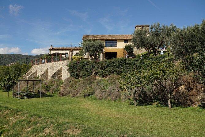 Ebike Tour, Winery, Wine Tasting & Sailing Experience(car option) - Sailing from Port Masnou