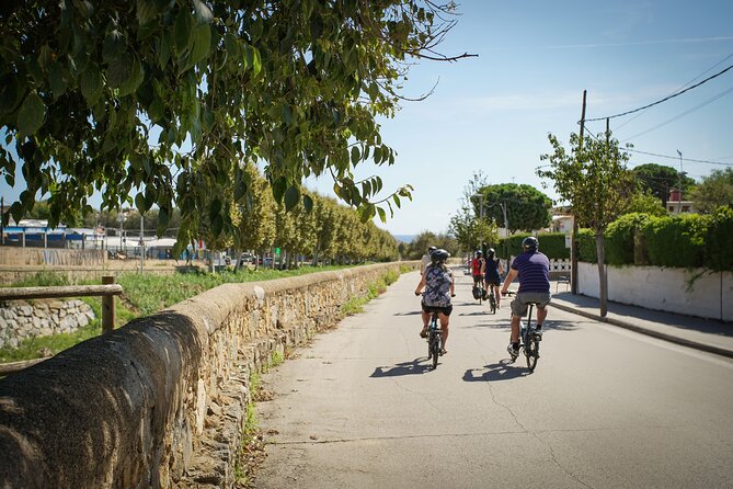 Ebike Tour, Winery, Wine Tasting & Sailing Experience(car option) - Who will enjoy this tour most?